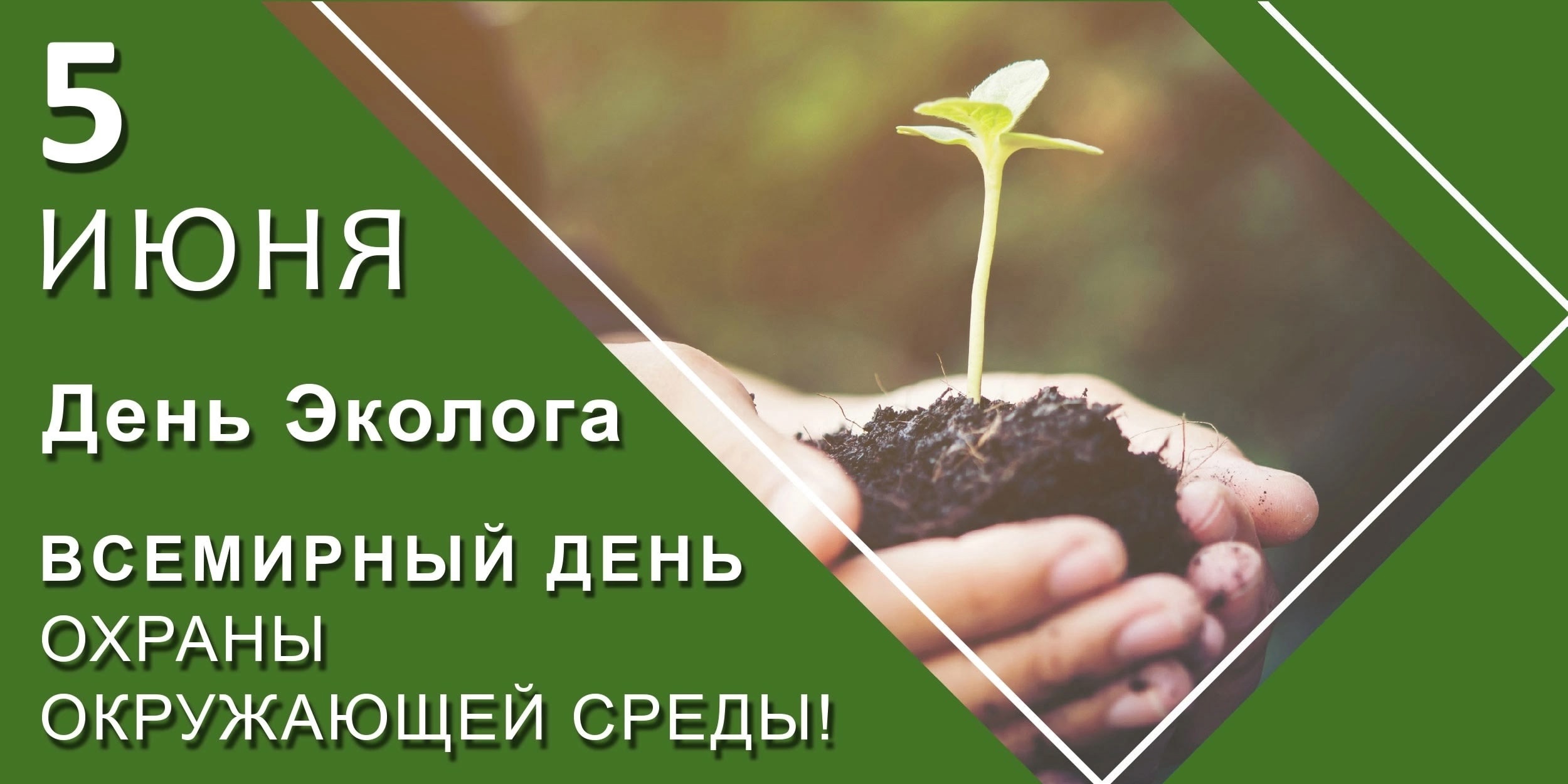 День экологии.